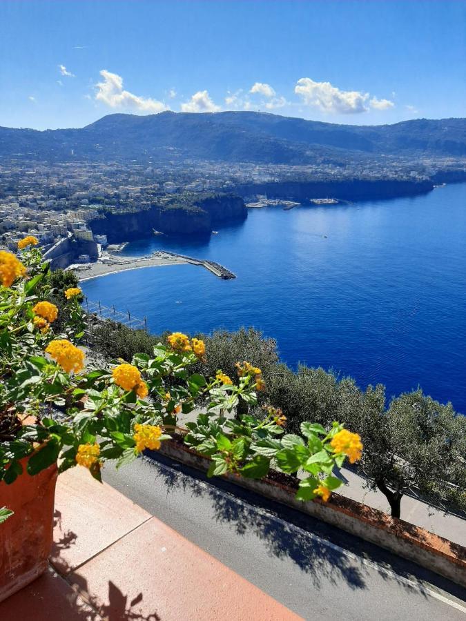 비코에쿠엔세 Bella Vista House-Sorrento Coast - Free Parking-Solarium 아파트 외부 사진