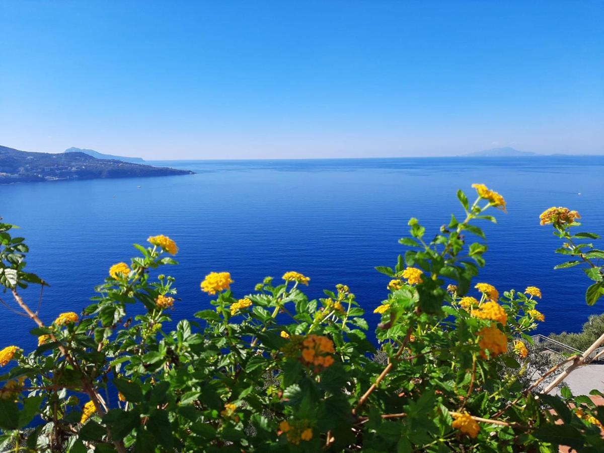 비코에쿠엔세 Bella Vista House-Sorrento Coast - Free Parking-Solarium 아파트 외부 사진