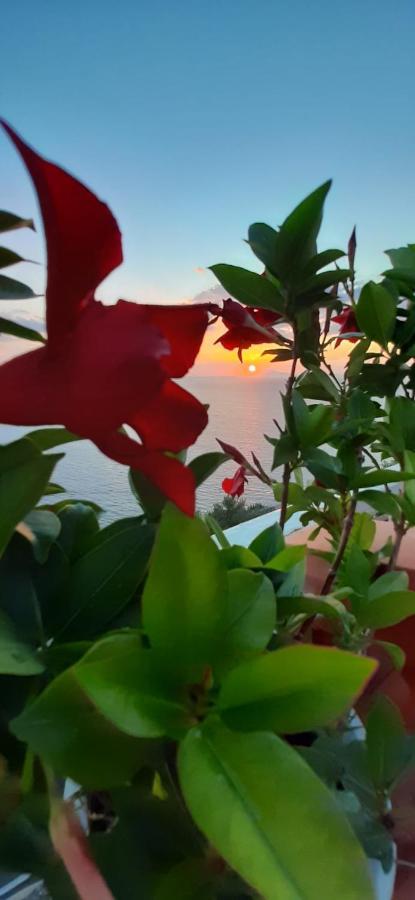 비코에쿠엔세 Bella Vista House-Sorrento Coast - Free Parking-Solarium 아파트 외부 사진