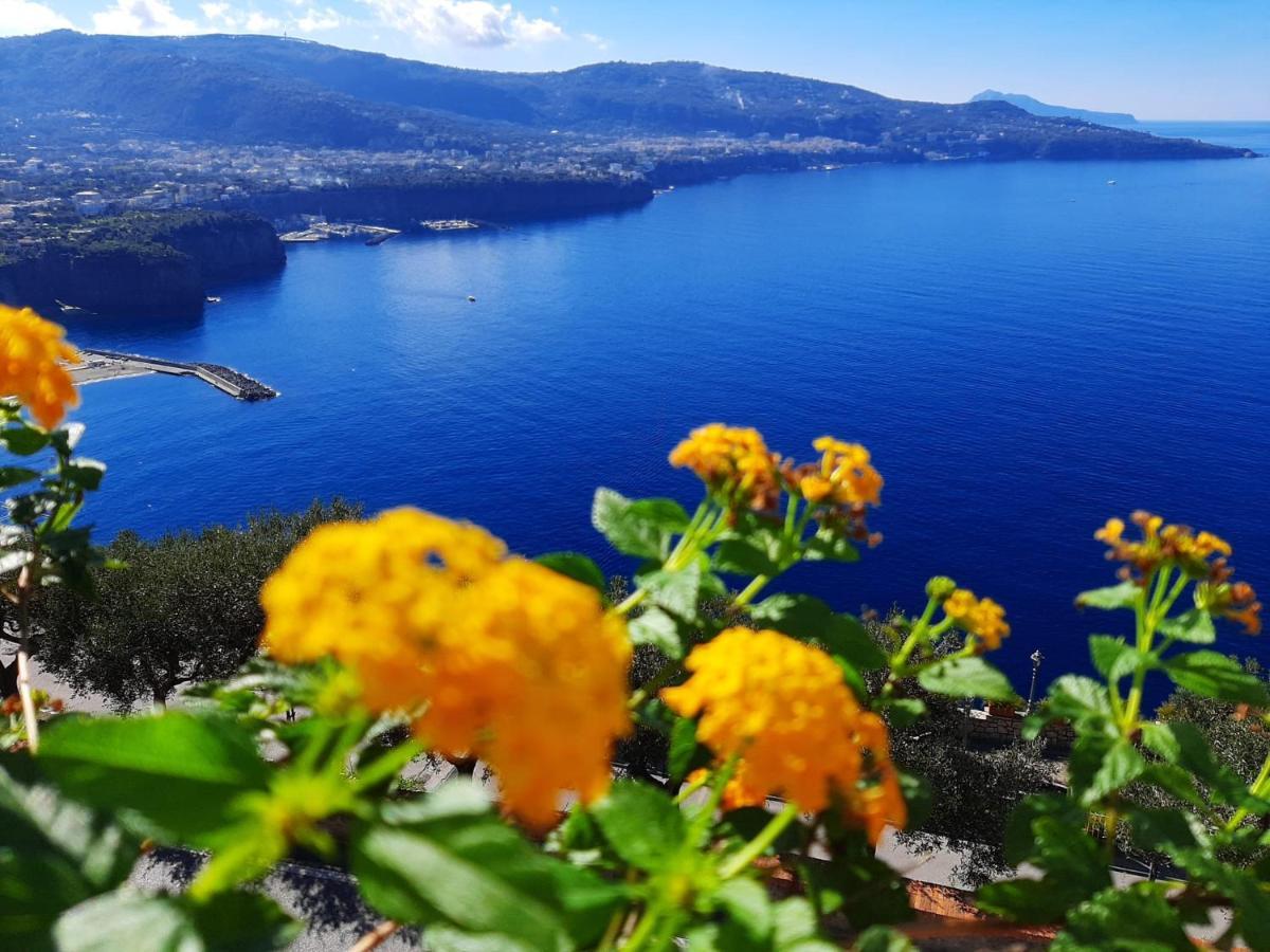 비코에쿠엔세 Bella Vista House-Sorrento Coast - Free Parking-Solarium 아파트 외부 사진