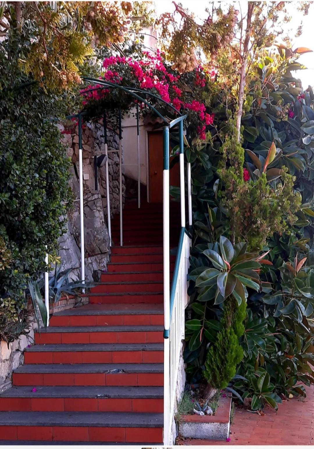 비코에쿠엔세 Bella Vista House-Sorrento Coast - Free Parking-Solarium 아파트 외부 사진